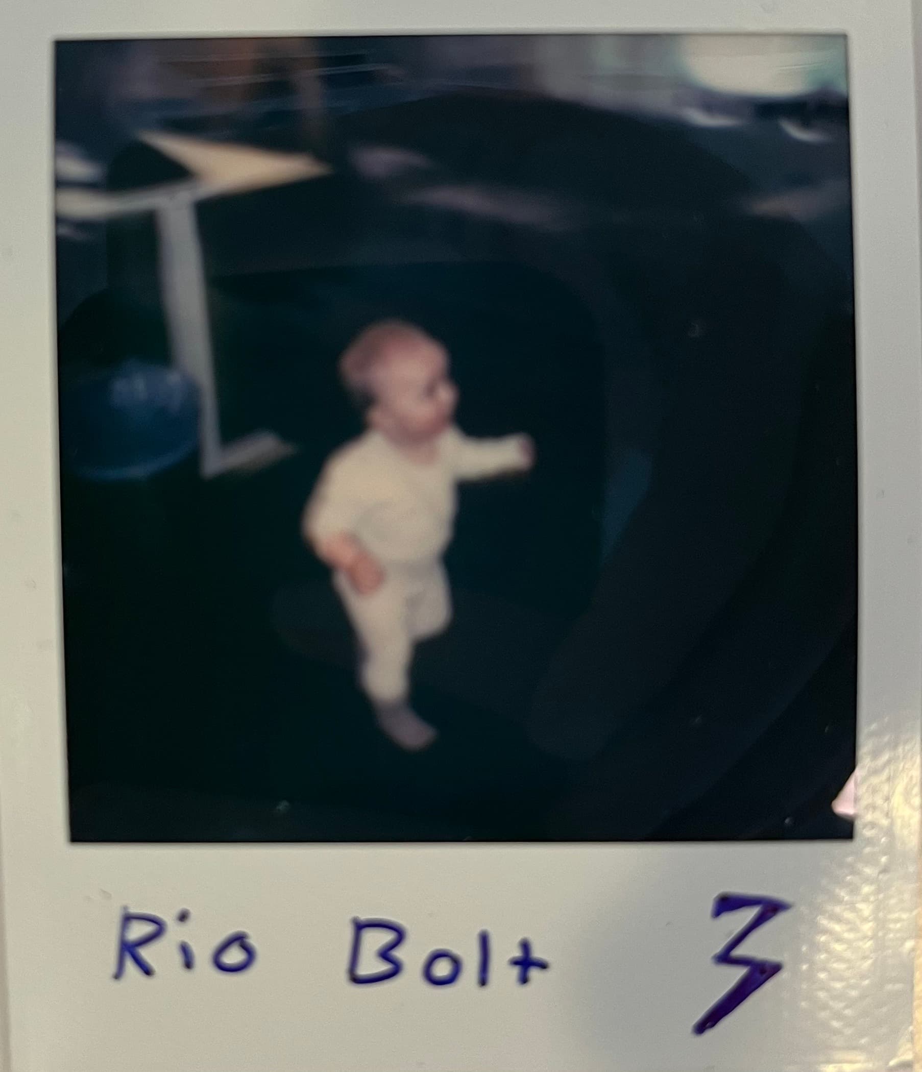 Polaroid